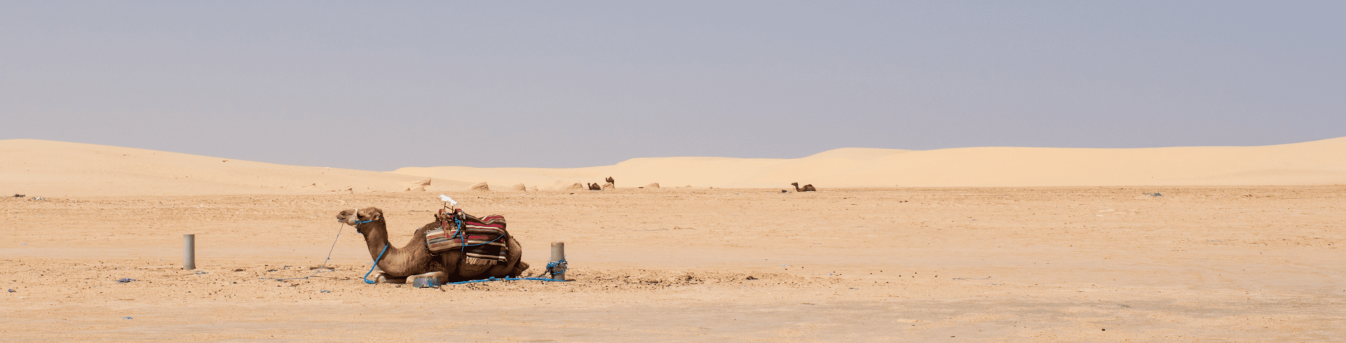 Argelia & Tun�sia Premium